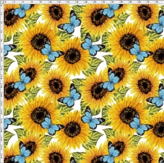 butterfly-4794