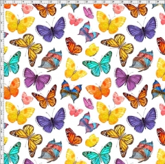 butterfly-1034
