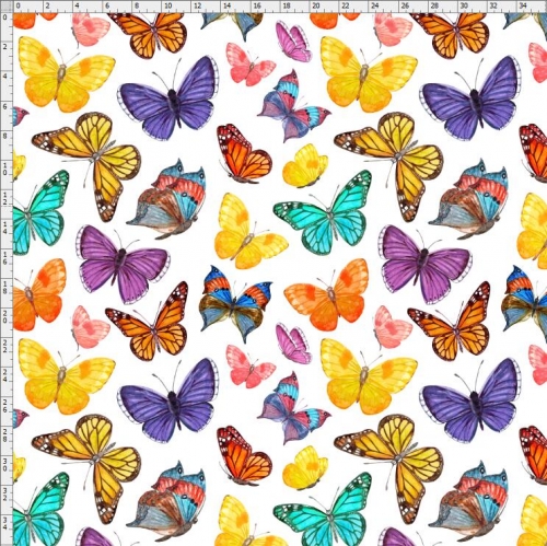 butterfly-1034