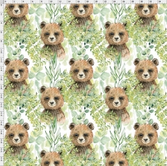 Bear-1832