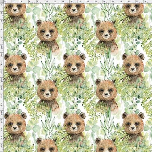 Bear-1832