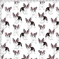 dog-7070