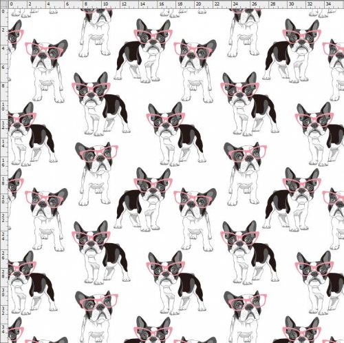 dog-7070