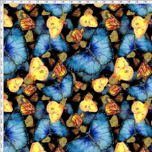 butterfly-9133