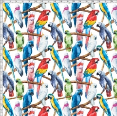 bird-3413