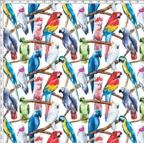 bird-3413