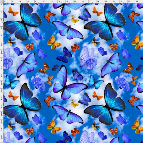butterfly-0545