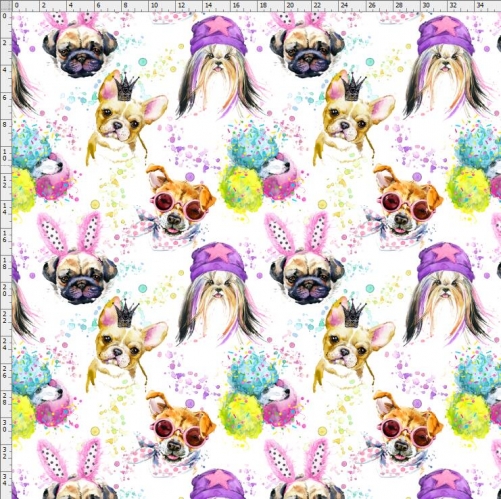 dog-6523