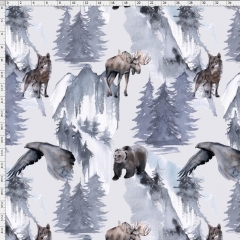 Bear-3969