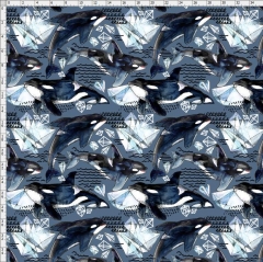 fish-6021