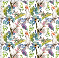 bird-9762