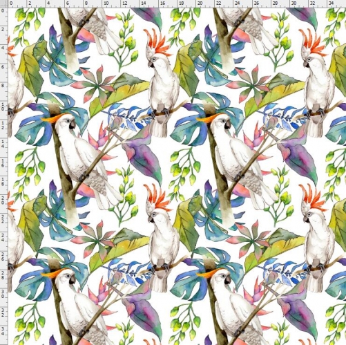bird-9762
