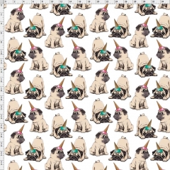 dog-2155