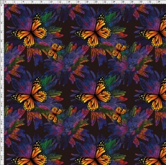 butterfly-7783