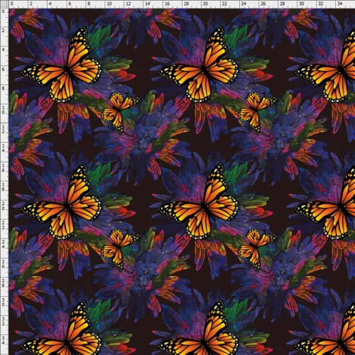 butterfly-7783