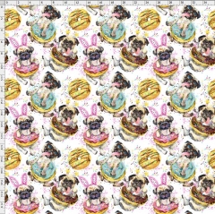 dog-5877