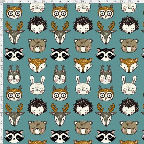 fox-6281