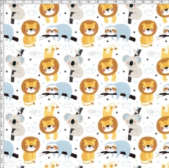 Koala-7198