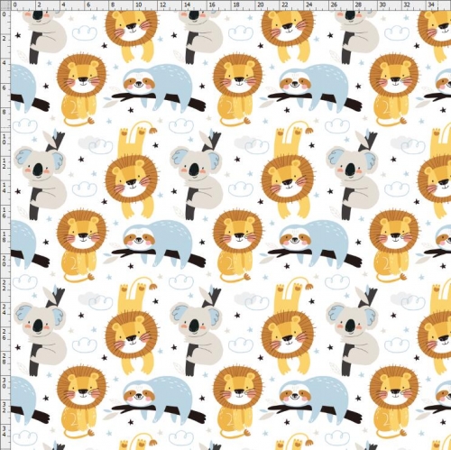 Koala-7198
