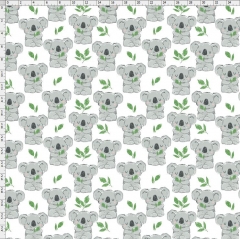 Koala-5293