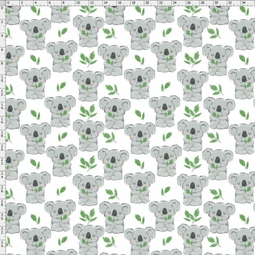 Koala-5293
