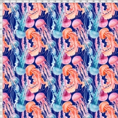 Jelly fish-6971