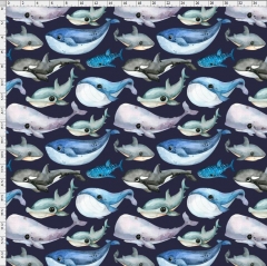Whale-0819