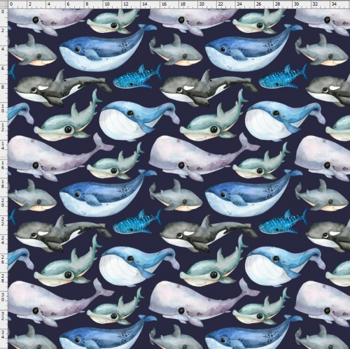Whale-0819