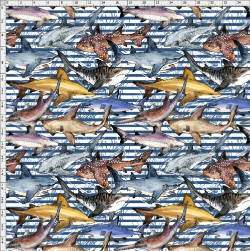 Shark-7485