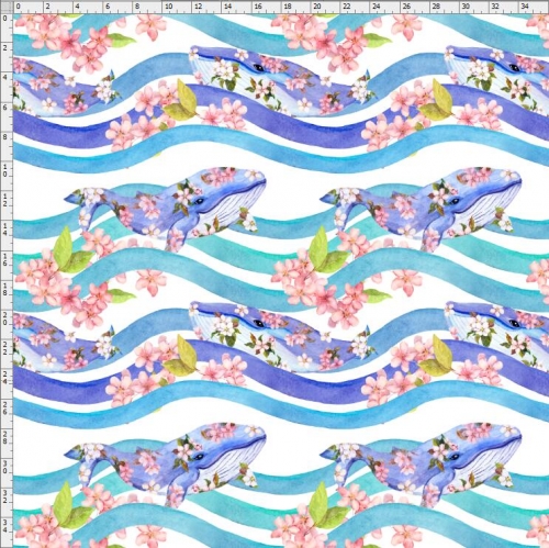 Whale-3945