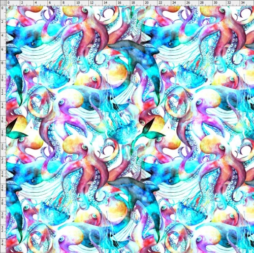 Whale-5863