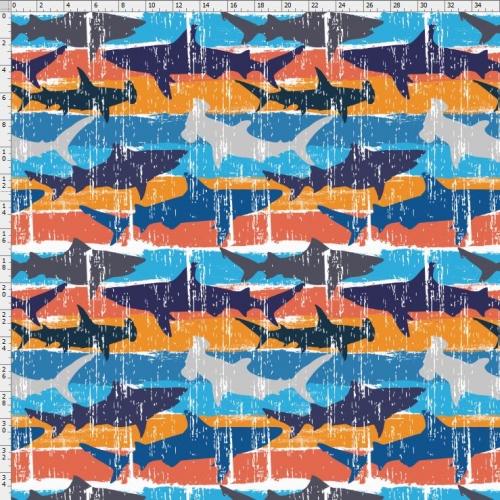 Shark-4277
