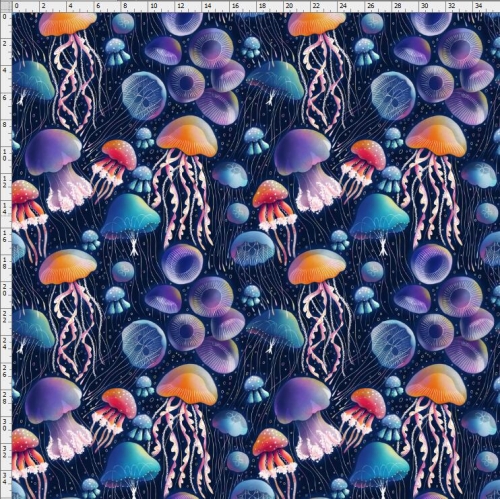Jelly fish-9069