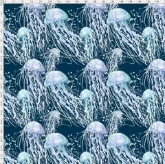Jelly fish-6733
