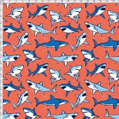 Shark-4633