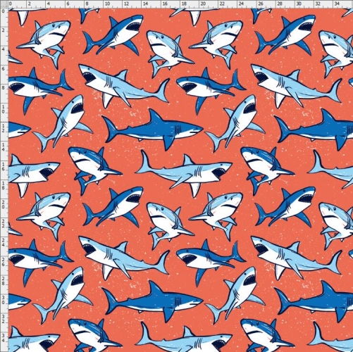 Shark-4633