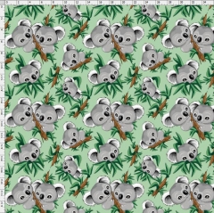 Koala-4278