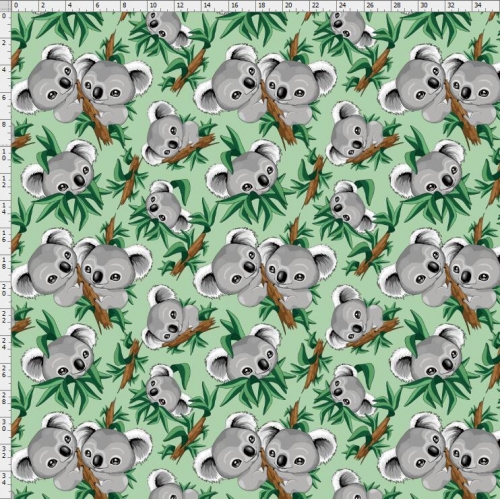 Koala-4278