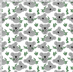 Koala-2093