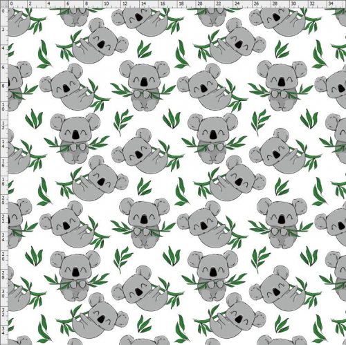 Koala-2093