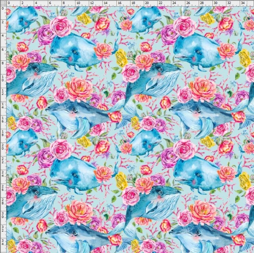 Whale-4211