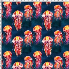 Jelly fish-1021