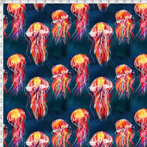 Jelly fish-1021