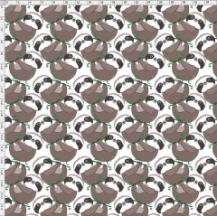 Sloth-2685