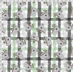 Koala-5844