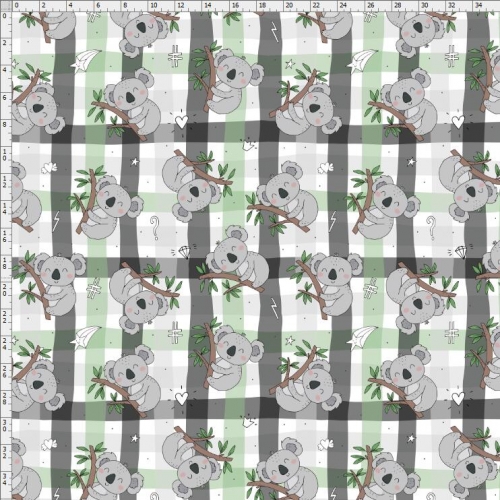 Koala-5844