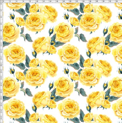 Rose-0558