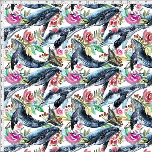 Whale-6070