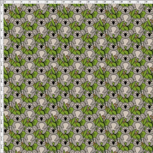 Koala-2164