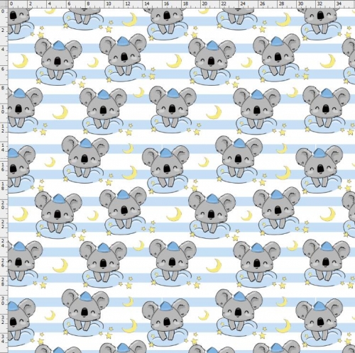 Koala-6823